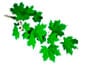 Кельтский гороскоп деревьев друидов по дате рождения