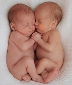 Как можно забеременеть двойней