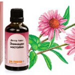 Настойка эхинацеи для детей