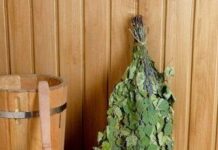 Какой веник лучше выбрать для бани?