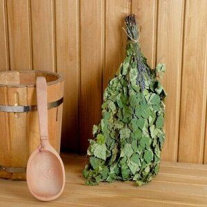 Какой веник лучше выбрать для бани?