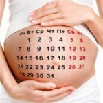 Календарь беременности