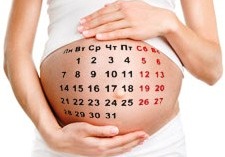 Календарь беременности