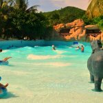 Отдых с детьми во Вьетнаме, где остановиться и какие есть развлечения