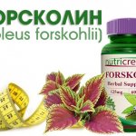 Форсколин: в шаге от победы над ожирением