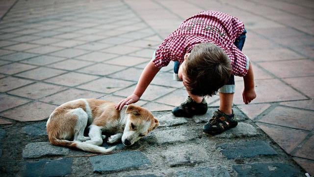 Как развить доброту в ребёнке