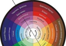Правильное сочетание цветов: одна из важных составляющих совершенного образа и стильного и целостного интерьера