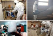 Подготовка квартиры к дезинсекции от тараканов