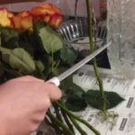 Как продлить свежесть букета роз