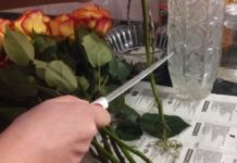 Как продлить свежесть букета роз