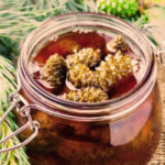 Варенье из сосновых шишек: отличный иммуностимулятор естественного происхождения