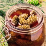 Варенье из сосновых шишек: отличный иммуностимулятор естественного происхождения