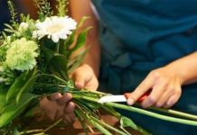 Рекомендации по выбору букета