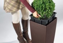 Горшки Lechuza: особенности