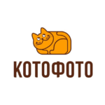Промокоды для магазина КотоФото: действующие акции и скидки
