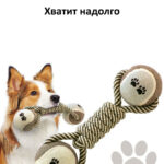 Самые интересные игрушки для собак