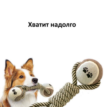 Самые интересные игрушки для собак