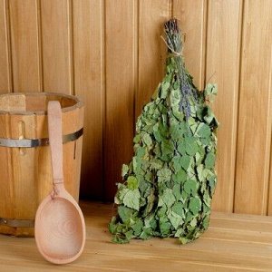 Какой веник лучше выбрать для бани?