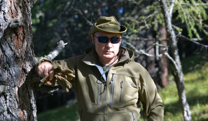 Рыбалка, поход в горы и нарисованный камин: отдых Путина и Шойгу в тайге попал на видео