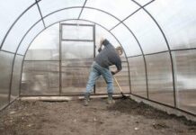 Подготовка почвы в теплице к посадке