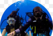 Преимущества дайвинга: почему это так популярно?