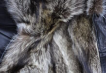 Дубленки с енотом от Одевалочка.ру