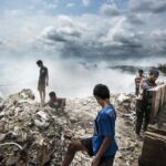 В чем опасность экологического кризиса?