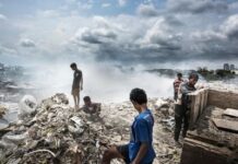 В чем опасность экологического кризиса?