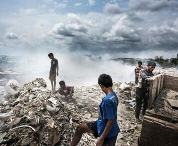 В чем опасность экологического кризиса?