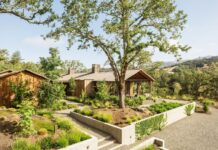 Ландшафтный дизайн 2022 года : идеи для дачи