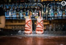 Почему стоит посетить паб Толстый Лев?