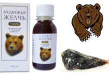 Применение и свойства медвежьей желчи