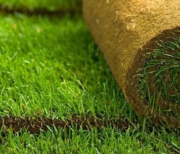 Особенности теневого рулонного газона