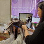 Как можно постричься в парикмахерской бесплатно?