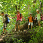 Летний лагерь: необычное приключение для детей и спасение для родителей