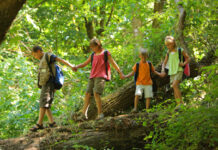 Летний лагерь: необычное приключение для детей и спасение для родителей