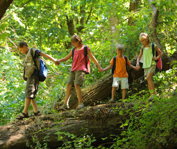 Летний лагерь: необычное приключение для детей и спасение для родителей