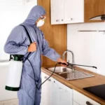 Правила подготовки квартиры перед проведением дезинсекции