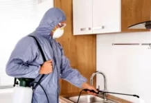 Правила подготовки квартиры перед проведением дезинсекции