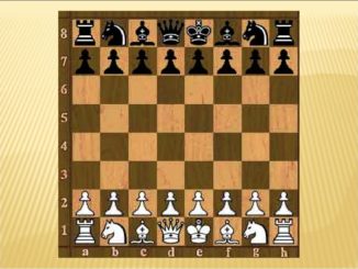 Как правильно расставить шахматы на шахматной доске?