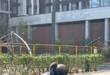 Скульптура в современном мире