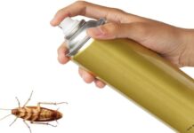 Самые эффективные способы уничтожения тараканов
