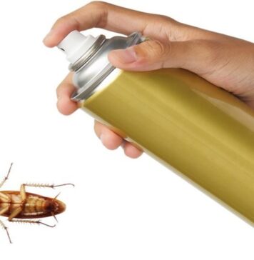 Самые эффективные способы уничтожения тараканов