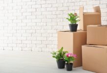 Как перевезти растения на новую квартиру?