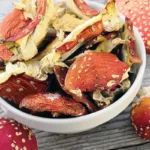 Применение мухомора в медицине