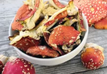 Применение мухомора в медицине