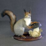 Как размещать чучела животных в интерьере?