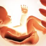 Программа ЭКО в естественном цикле