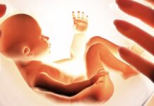 Программа ЭКО в естественном цикле