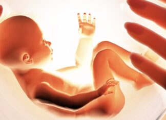 Программа ЭКО в естественном цикле